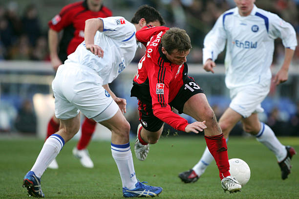 王涛在节目 王涛在节目